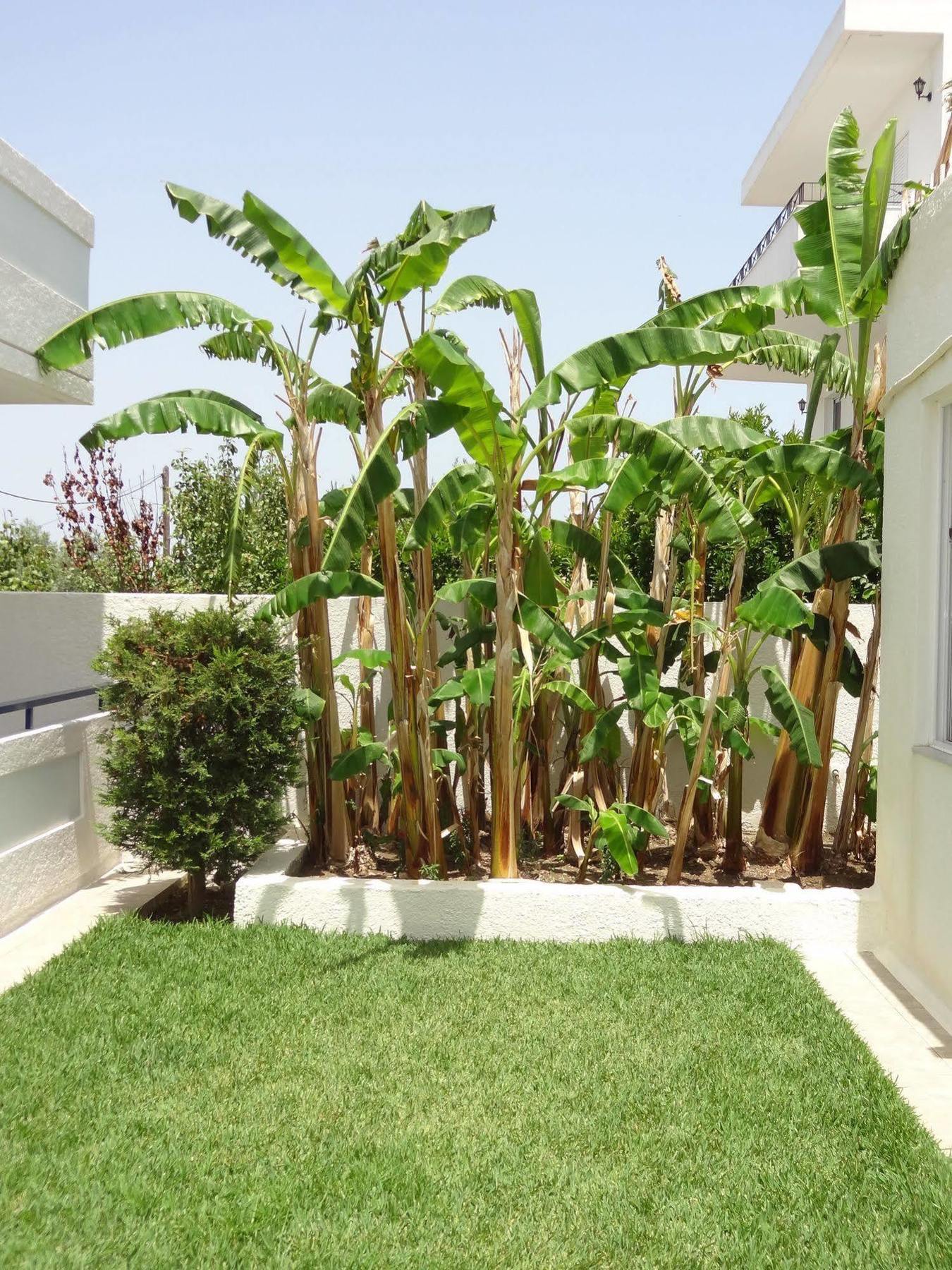 Michalis Studios & Apartments Cos Exterior foto